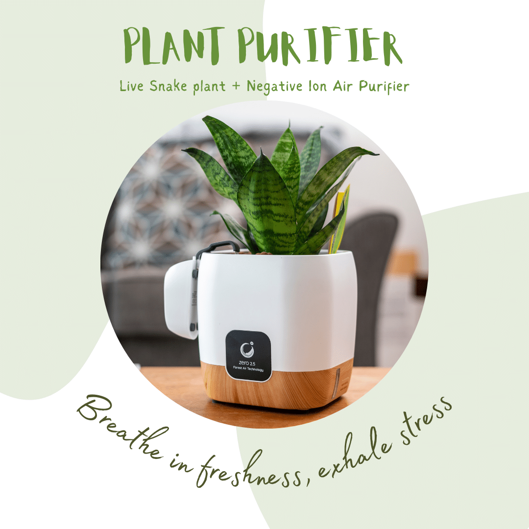 nerve plant air purifier Plant Purifier SP2800 | Negative Ion Air Purifier