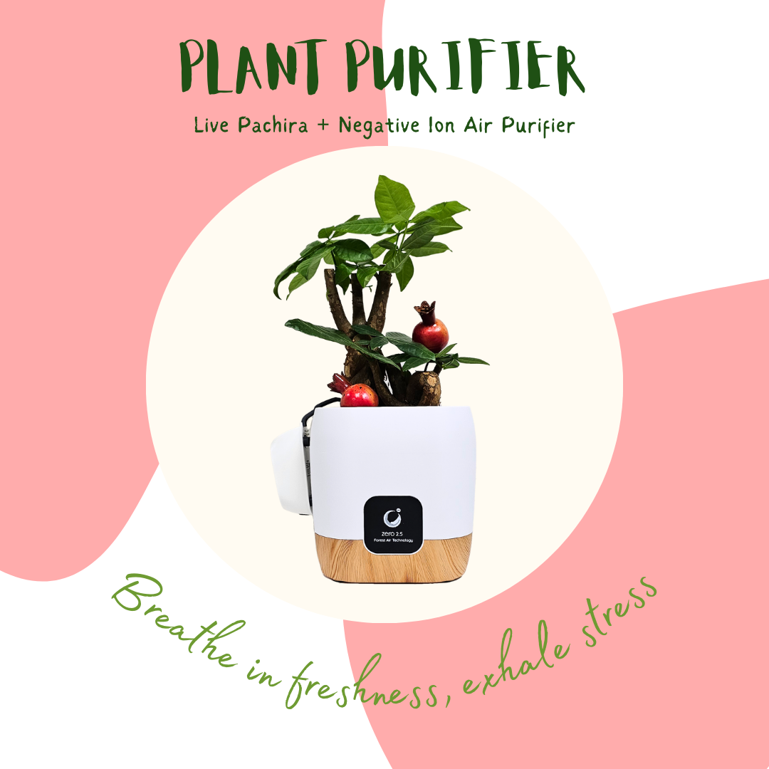zebra plant air purifier Plant Purifier SP2800 | Negative Ion Air Purifier